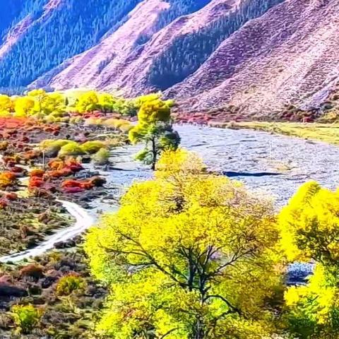 祁连山下——一场说走就走的旅行