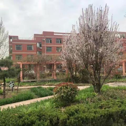 空中课堂第八周