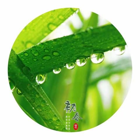停课不停学，成长不延期-----六二班空中课堂小记