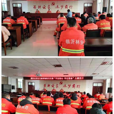 【优作风  勇担当】蒙阴县国有天麻林场：疫情面前我不退，爱岗护林践初心