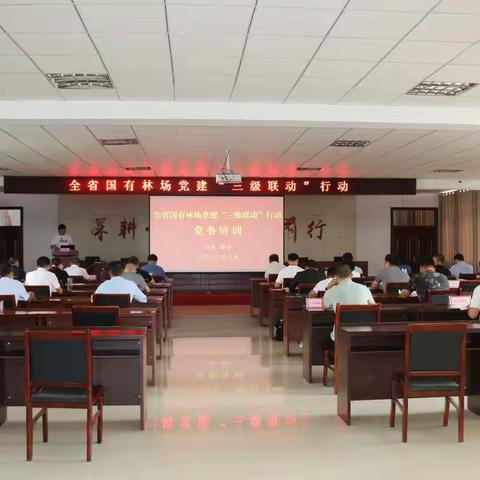 党建“三级联动”，国有林场在行动