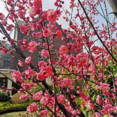 第九课教研纪实