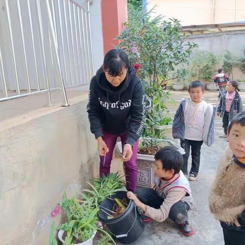 白彝小学园艺社团活动总结