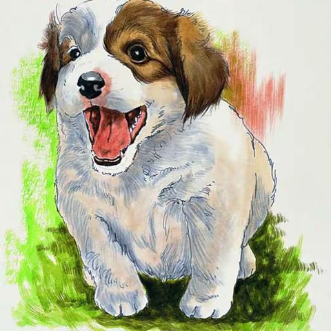 平淡才真的美篇