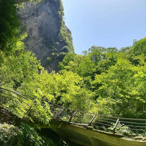 走进天下奇峡——金丝大峡谷！