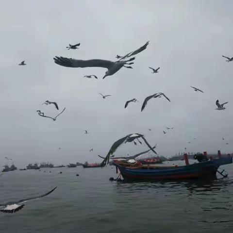 《大连之行》之一