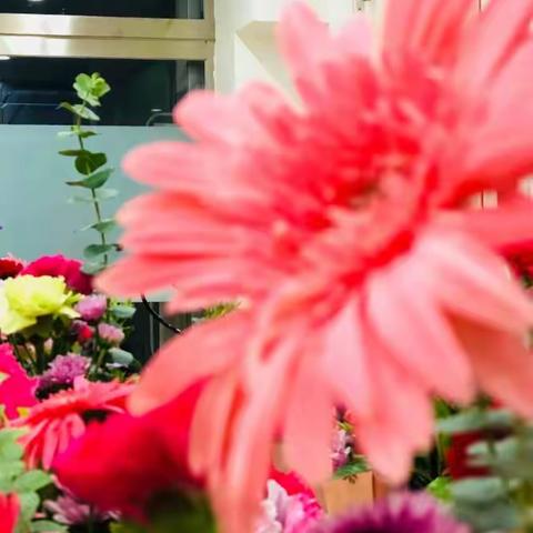 书伴花香    诗意七夕