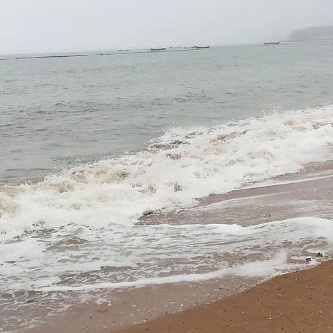 触摸大海——大连之行二