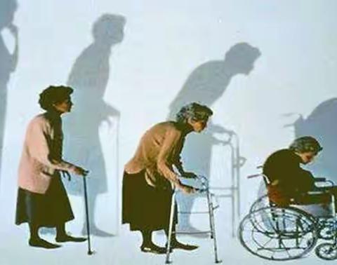 补钙大学问1【补钙防骨质疏松】