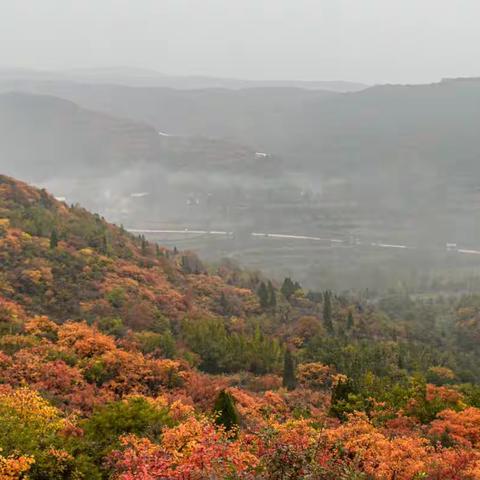 平陸马泉沟红叶