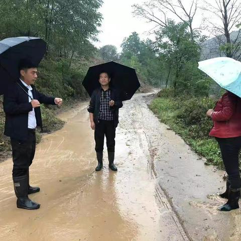 两亭镇陈家沟村全力开展防汛防滑救灾工作