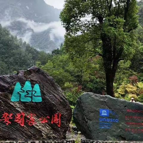 神农迷雾浓_神农架游记