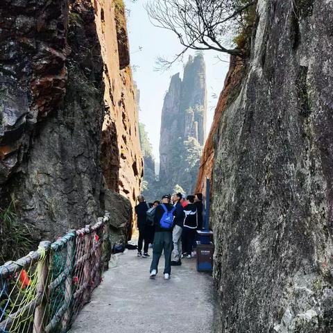 潇洒漫步五指峰