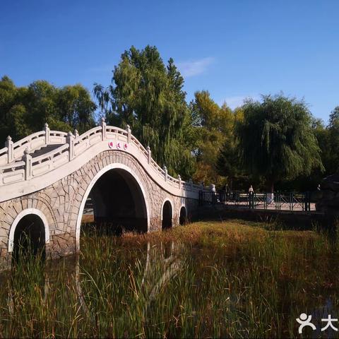 游新区中心公园
