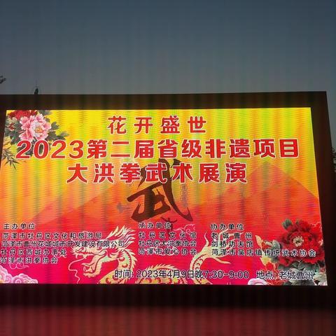 花开盛世大洪拳武术展演