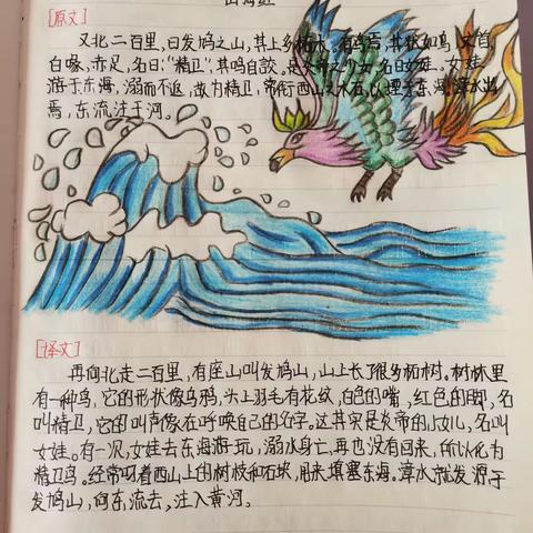 付筠然寒假作业第二周