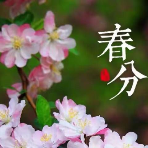 【泉心•蒙九】二十四节气之春分