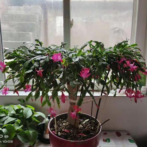 假期生活小记！