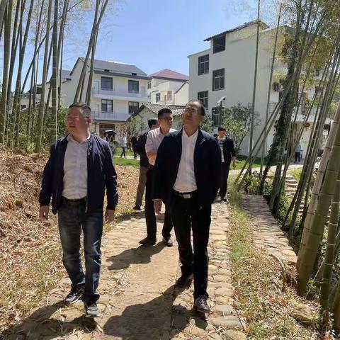 花厅镇：对标先进找差距 交流互鉴促提升