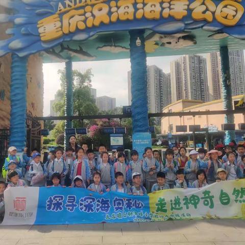 杨家坪小学1年级2班，探寻深海奥秘，走进神奇自然——重庆汉海海洋馆研学之旅