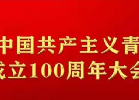 庞家堡镇团委组织青年团员收听收看庆祝中国共产主义青年团成立一百周年大会