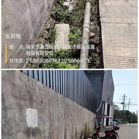 潘岱街道集善社区新星经合社大力开展环境整治