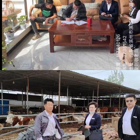 授信贷后党支部开展“传承文化基因，劳动创造幸福”主题党日活动