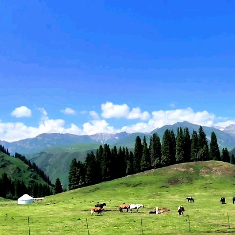 独库潇洒走一回