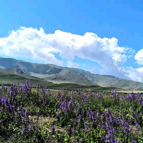 百里丹霞向西行