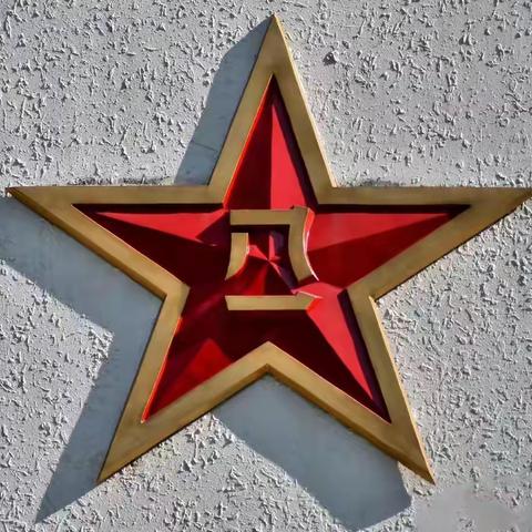 姬家街道泾福苑社区 “同庆建军佳节、共叙鱼水深情”八一建军节主题活动