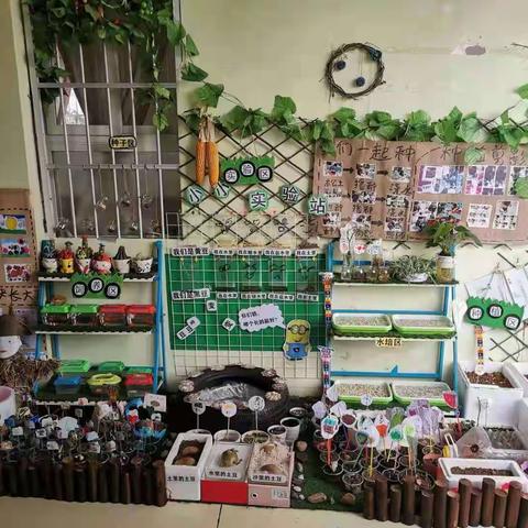 【瓮安县第四幼儿园】“静待花开时”——记中五班＆大一班自然角