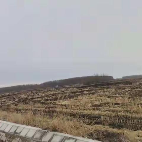 斯力很现代农业园区开展秸秆禁烧工作