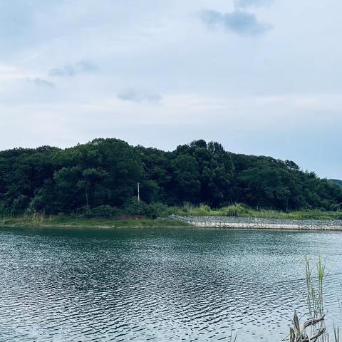 那山那水那人家