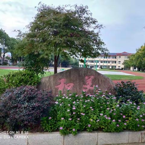 【教研的路上，我们结伴而行】——下宅小学语文组教研活动