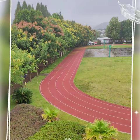 下宅小学第三周值周小结