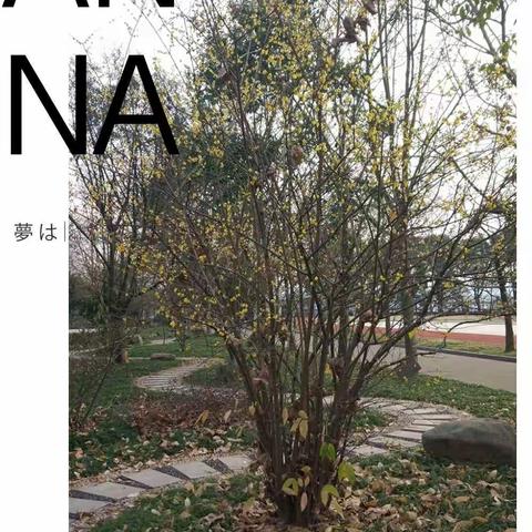 【全力以赴，备战期末】——下宅小学第21周值周小结