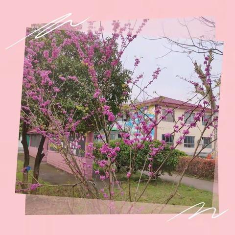 【坚守，一路芬芳】——下宅小学第6周值周小结