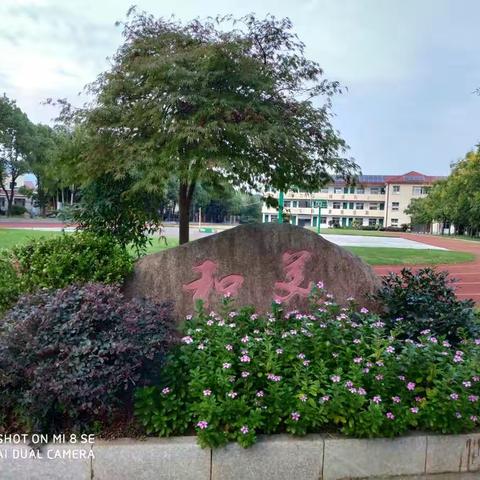 【游中有学，学中有思】——记下宅小学四至六年级秋季研学活动