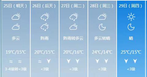 路桥公司涉铁项目部日报