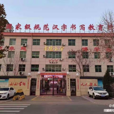 春光灿烂，桃花盛开