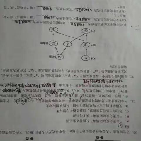 廖骆毅的第二次作业