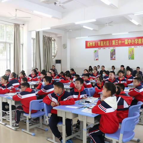 稳扎根基 翱翔未来——连州市（市直片区）小学科学青年教师教学教学基本功比赛