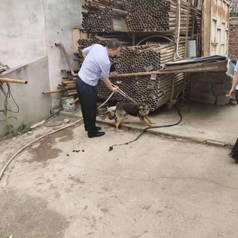 雁塔区雁环中路派出所清理犬只