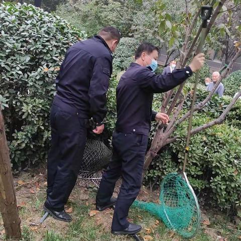 雁环中路派出所清理犬只