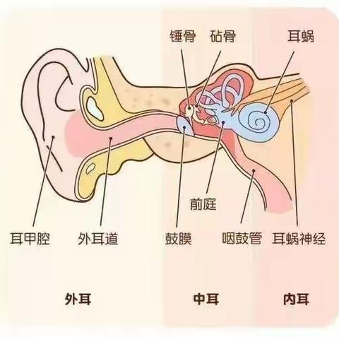 旺仔第四幼儿园“爱耳日”宣传知识