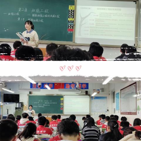 辽宁省小学数学优秀教学成果送教活动暨人教版小学数学五年级教材培训