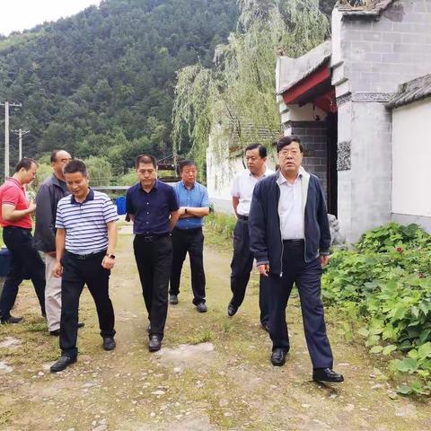 葛牌镇8月23日工作纪实