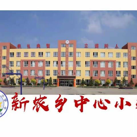 新农小学开展全民国家安全教育日系列宣传教育活动