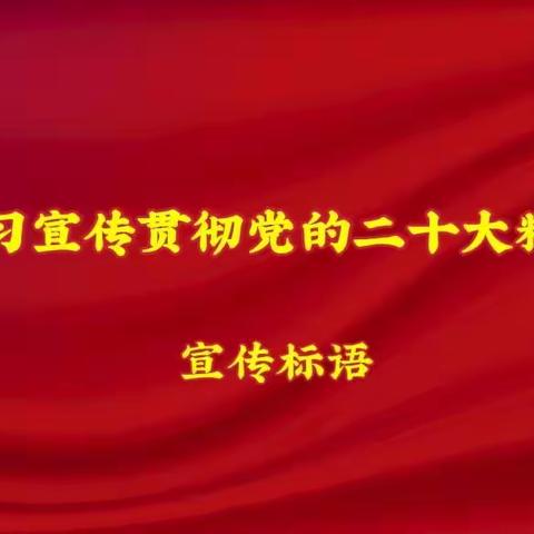 学习宣传贯彻党的二十大精神宣传标语