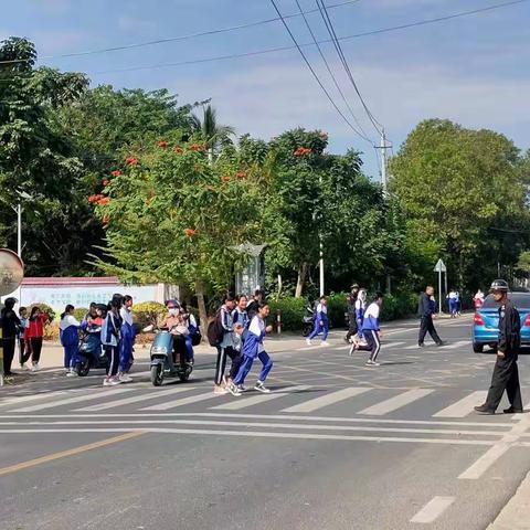 提蒙乡全面加强道路交通安全宣传